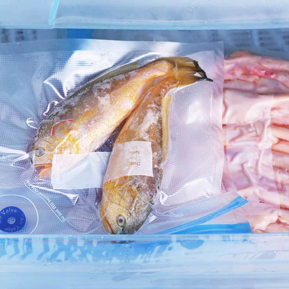 EaseCraft Pro 2.0 – 2026 Performance Upgrade